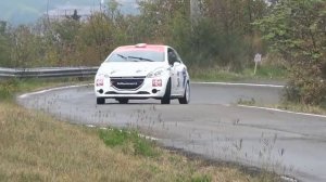 Best of Rally Pure Sound - Peugeot 208R2 - Maximum Attack