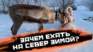 Чем Зима на Севере Притягивает Путешественников? Необычные развлечения Ненецкого автономного округа