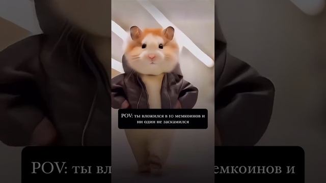 🤣 Ты вложился в 10 мемкоинов и он один не заскамился!?! #крипта #мемкоин