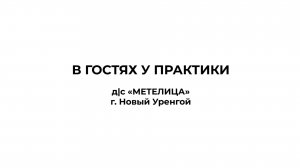 ДС МЕТЕЛИЦА