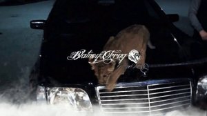 Районный - 420