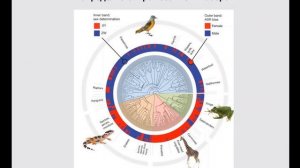 Лекция 13.11 биогеография