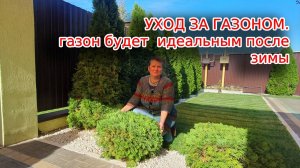 Уход за газоном после зимы. Весенний уход за газоном.