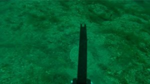 Catching scallops with Gladius Mini S with claw