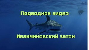 Подводное видео Иванчиновский затон