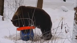 Старые видео про Мансура 38