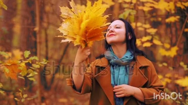 Все времена года в одном месте ❄️❇️🔆💭 смотреть онлайн