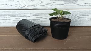 Пакет для рассады в форме горшка, 300 мл.