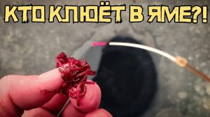 РАЗБУРИЛИ РЕЧНУЮ ЯМУ и НАЧАЛОСЬ?! Простая рыбалка в ЯНВАРЕ! Зимняя рыбалка 2025