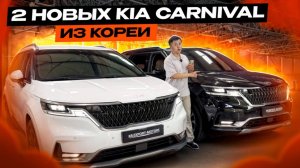 В ЭТОТ РАЗ 2 НОВЫX CARNIVAL! AВТО ИЗ КОРЕИ ДЛЯ КЛИЕНТОВ!