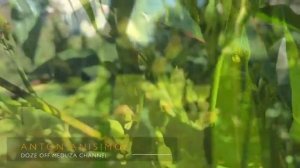 Спокойная Музыка Для Снятия Стресса  - RELAXING PIANO - Music  - Звуки Природы _ Stress Relief Music