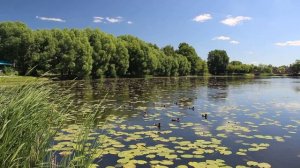 Димитровград-2020 Верхний пруд Июнь ч1