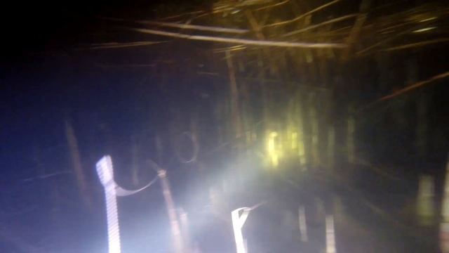 Последняя подводная охота перед нерестовым запретом на Днепре. смотреть онлайн