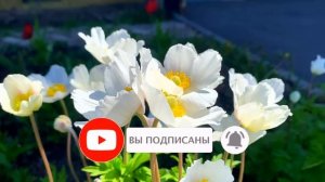 2 июня День Тимофея. Что нельзя делать 2 июня в День Тимофея. Народные приметы и Традиции Дня