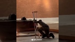 Караульный помог солдату у Вечного огня
