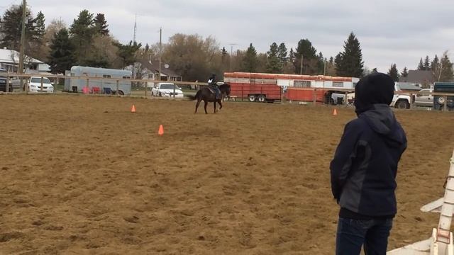 Wrangler 4H show western смотреть онлайн