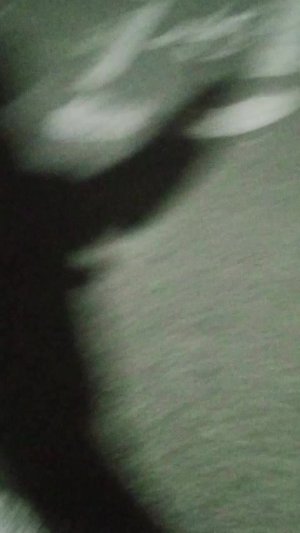 прятки