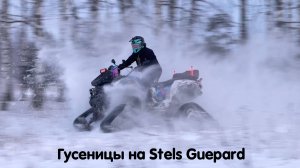 Супер тест Гусениц