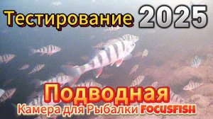 КЛЁВЫЙ КЛЁВ ОКУНЯ ТЕСТ КАМЕРЫ ФОКУСФИШКЛЁВЫЙ КЛЁВ ОКУНЯ- ТЕСТ КАМЕРЫ ФОКУСФИШ 2 ЧАСТЬ ОБЗОРА БОЛЬШЕ