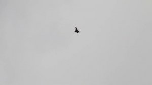 Chetan Saraf - Pilot RC J10 B Sport Jet 2.8 M Smoke System Test - 2-28-2021