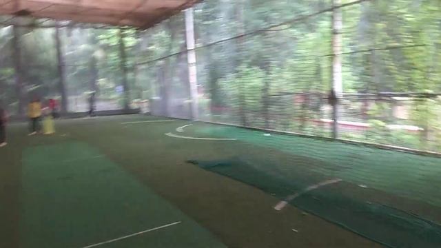 Master Your Cricket Skills with Advanced Head Positioning Techniques by VK