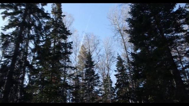 Государственный природный заповедник «Столбы» (ходил на столбцы)