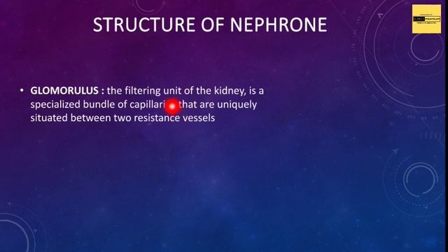 E15 URINARY SYSTEM PART 1 | Medical coding class in malayalam #medicalcodingtraining
