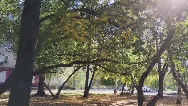 #дороги_тольятти
