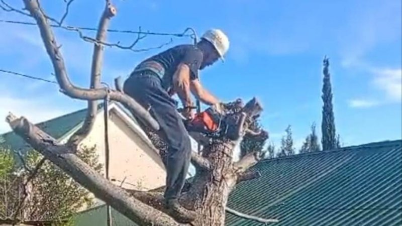 Видео WhatsApp 2025-01-10 в 19.09.55_39929b26