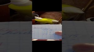 проверка тетрадей