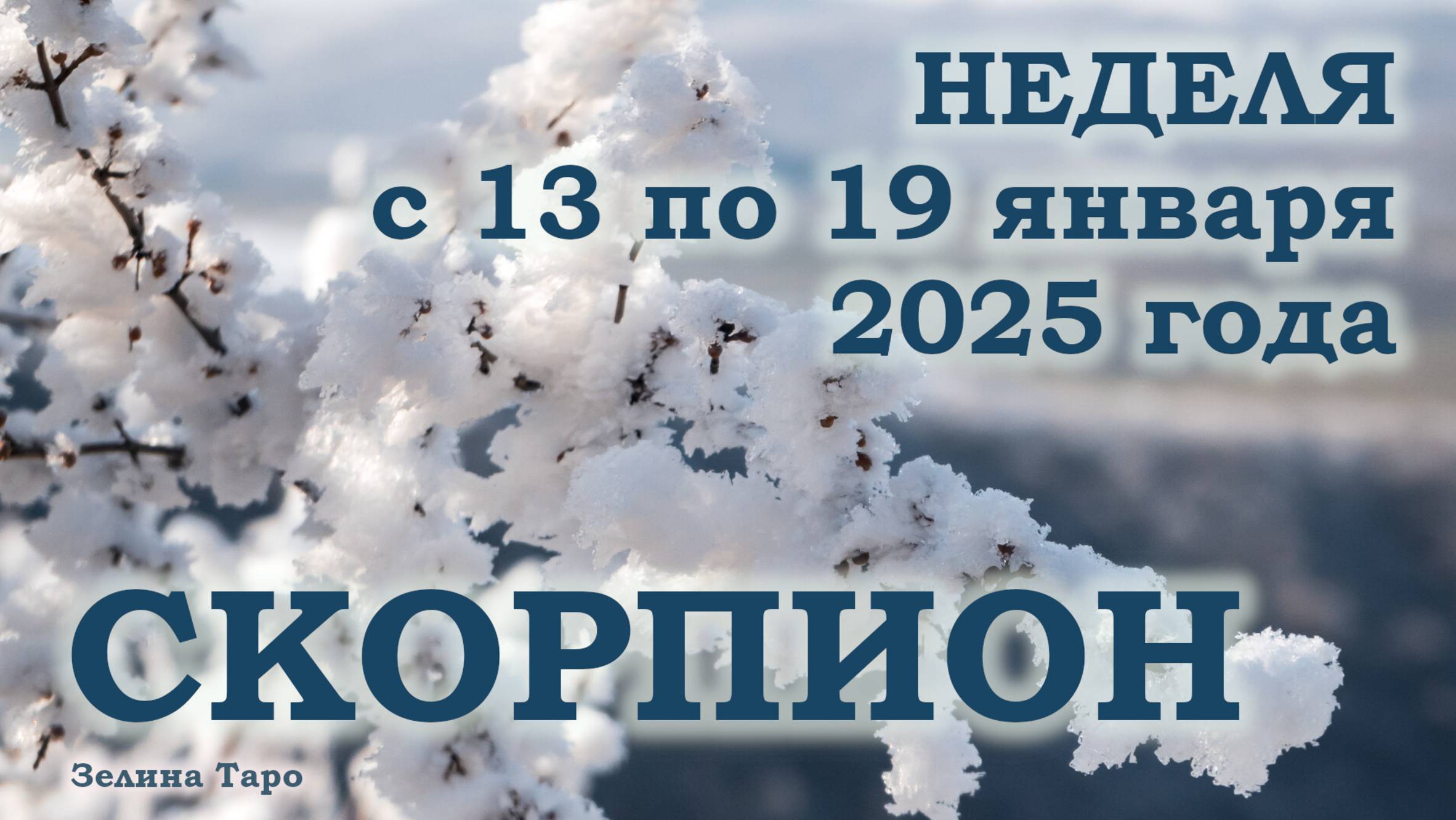 СКОРПИОН | ТАРО прогноз на неделю с 13 по 19 января 2025 года