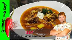 ★ Вкусные щи с сушеными лесными грибами. | Кулинарный Клуб.