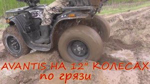 #20 AVANTIS HUNTER BIG на 12" колесах.езда по грязи.