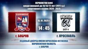 18.01.2025_14.45(МСК)_2011 г.р._ХК "ДЕКО МИНЕРАЛС (г. Бобров) - ХК "МОЛОТ" (г. Ярославль)