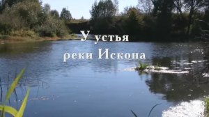 Разговор с И. Грядовской 23.09.2017