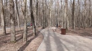 Прогулка в лесу в районе Мэздаха. Очень красиво и необычно.