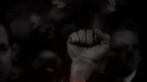 Рабочий Квартал - ПТИЦЫ МИРА