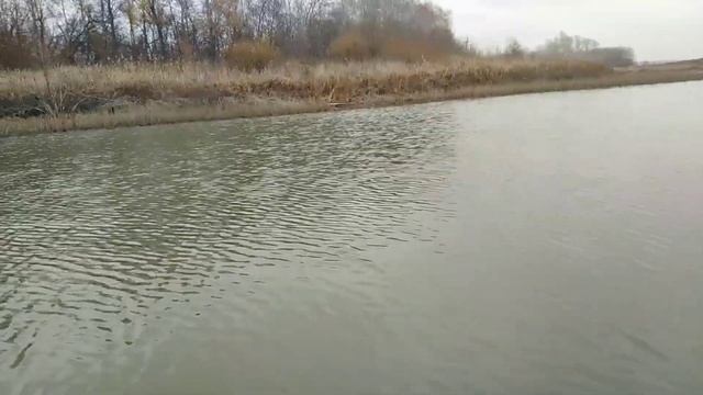 Ловим живца смотреть онлайн