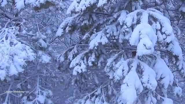 Красавица Зима -зарисовки зимние!