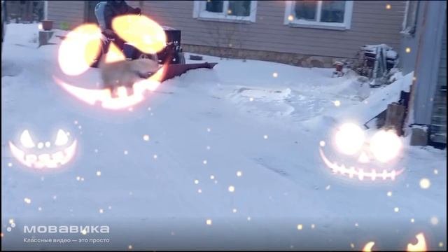 трактор
