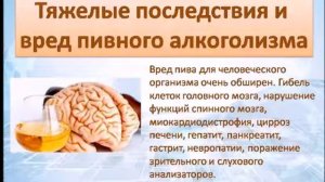 Пивная кружка вред или польза