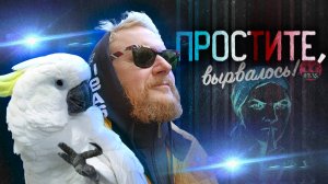 12.01.25 | "Простите, вырвалось!" №127 | Новости | Пояснительная Бригада выехала