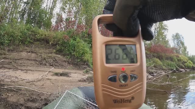 🎣ДВУЛЬНИК🎣#fishing #сибирия #рыбалка #ловля #рыбалка #рыбалкасибирь #ловлящуки #природа #щука