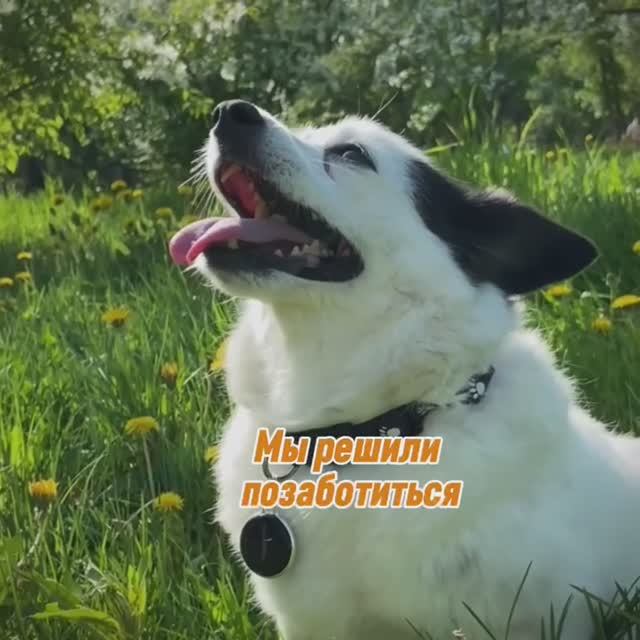 GPS трекер для поиска