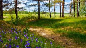 Сокращение стенок желудка