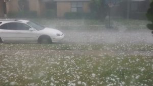 Когда Природа Сошла С Ума