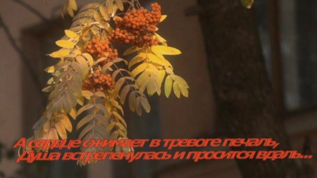 Гроздья  рябины. смотреть онлайн