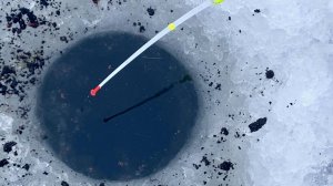 НАСАДИЛ НЕЧТО...ДАВИТ КИВОК на ТЕЧЕНИИ! Зимняя рыбалка