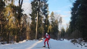 Лыжная гонка в Гришкино Тверской области!