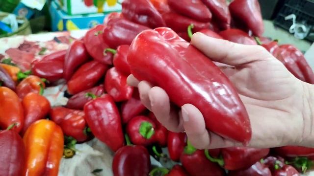КУПИЛИ 40 КГ АРБУЗОВ ЗА 4 ДОЛЛАРА